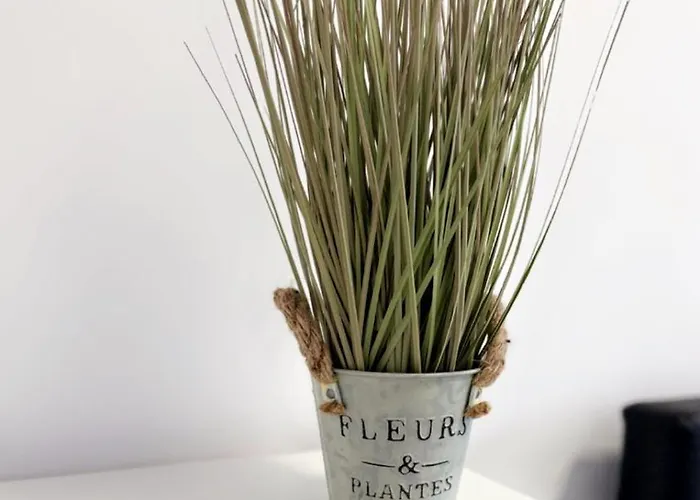 Schoene Am Nordsternpark * Gelsenkirchen